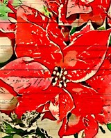 Poinsettia Red Fine Art Print