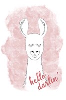 Hello Darlin' Fine Art Print