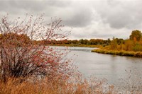 Snake River Autumn II Fine Art Print