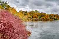 Snake River Autumn IV Fine Art Print