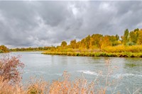 Snake River Autumn VI Fine Art Print