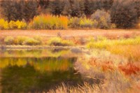 Autumn Pond Fine Art Print