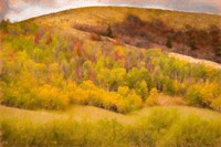 Autumn on the Hill Fine Art Print