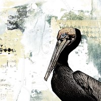 Pelican Palm Fine Art Print
