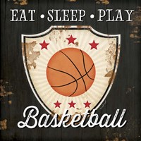 Eat, Sleep, Play, Basketball Fine Art Print