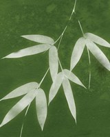 Green Spa Bamboo I Fine Art Print