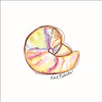 Shell Yes! Fine Art Print