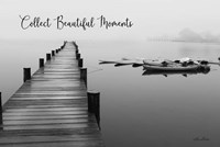 Collect Beautiful Moments Fine Art Print