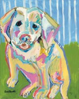 A Labrador Puppy Smile Fine Art Print