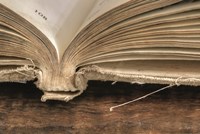 Page 108 Fine Art Print