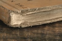 Well Read Fine Art Print