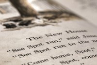 See Spot Run Fine Art Print