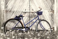 Blue Bike at Barn Fine Art Print