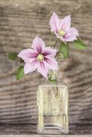 Think Purple Fine Art Print