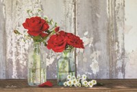Red Velvet Roses Fine Art Print