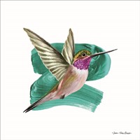 Hummingbird I Framed Print