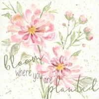 Bloom Where You are Planted Fine Art Print