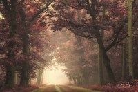 Dark Mystery Fine Art Print