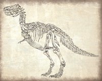 T-Rex Skeleton Fine Art Print