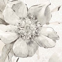 Indigold VI Gray Framed Print