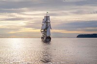 Lady Washington III Fine Art Print