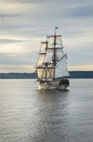 Lady Washington I Fine Art Print