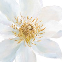 Contemporary Clematis Gray Fine Art Print