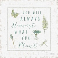 In the Forest V Harvest Fine Art Print