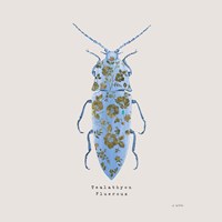 Adorning Coleoptera VIII Sq Blue Fine Art Print