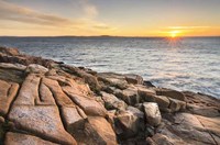 Acadia Sunrise Fine Art Print