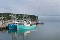 Bay of Fundy I Fine Art Print