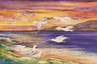 Seagull Sunset Fine Art Print