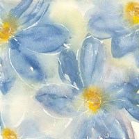 Tinted Clematis II Fine Art Print