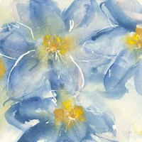 Tinted Clematis I Fine Art Print