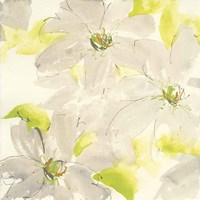 Dancing Clematis I Fine Art Print