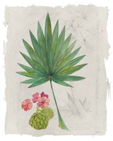 Botanical Journal II Light Fine Art Print