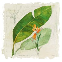 Botanical Study I Light Fine Art Print