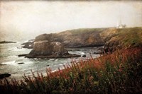 Coastal Mist Fine Art Print