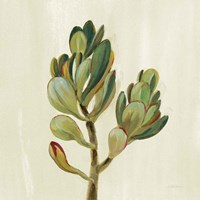 Front Yard Succulent II Fine Art Print