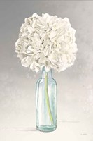 Tranquil Blossoms II Framed Print