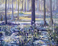 Blue Bayou Swamp Fine Art Print