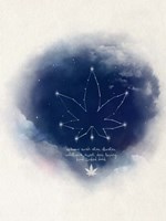 Cosmic Cush Fine Art Print