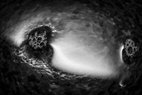 Fabulous Little Creatures 15 Fine Art Print