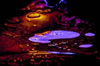 Fairy Tale 19 Fine Art Print