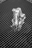 Fountain Fine Art Print