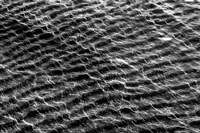 Ocean Ripples 01 Fine Art Print