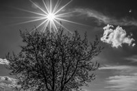 Painted on Sky Fine Art Print