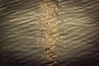 Painted on Water 06 Fine Art Print