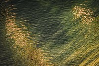 Painted on Water 16 Fine Art Print