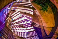 Space and Form 09 Fine Art Print